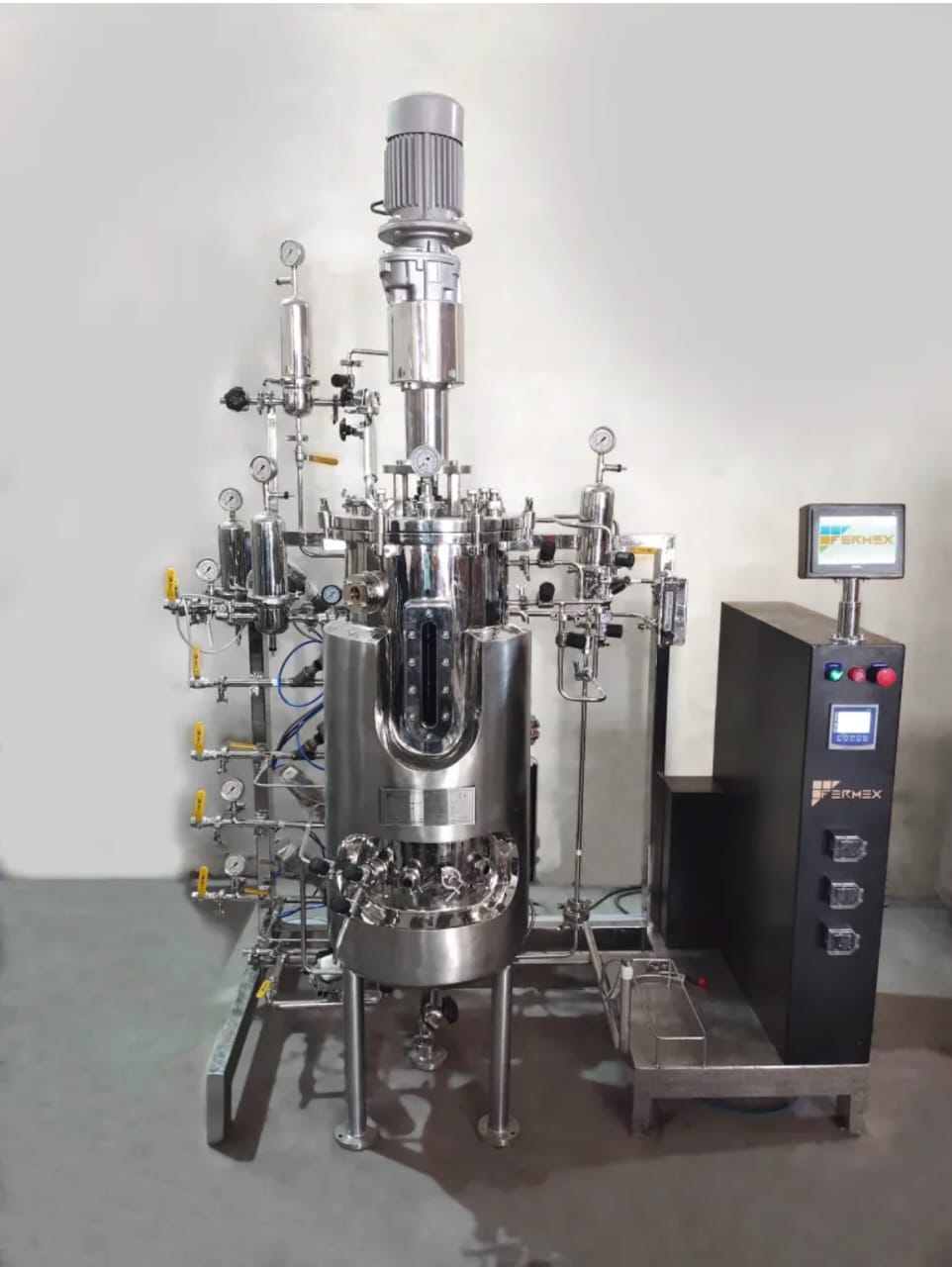 API Manufacturing